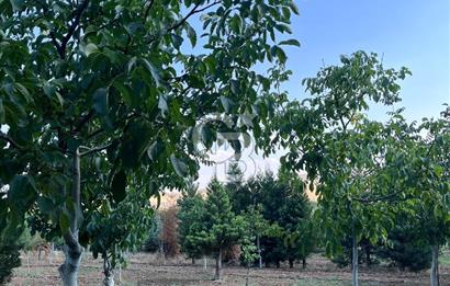Pursaklar Yeşilyurt'ta 18.198 m2 Müstakil Tapulu Çiftlik