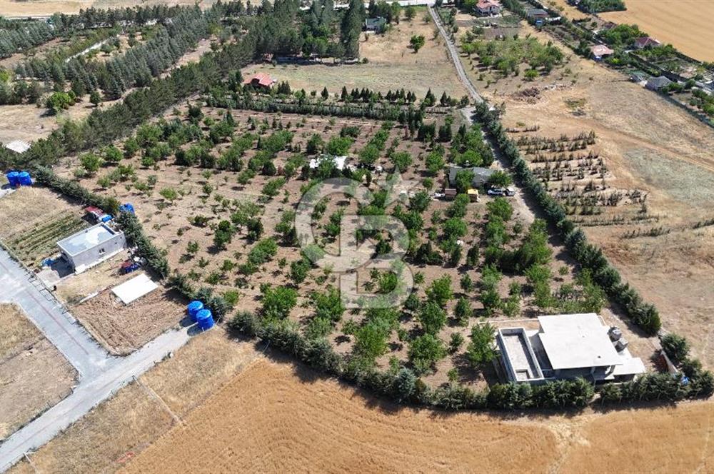 Pursaklar Yeşilyurt'ta 18.198 m2 Müstakil Tapulu Çiftlik