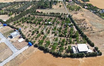 Pursaklar Yeşilyurt'ta 18.198 m2 Müstakil Tapulu Çiftlik