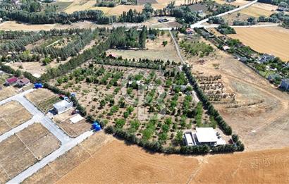 Pursaklar Yeşilyurt'ta 18.198 m2 Müstakil Tapulu Çiftlik
