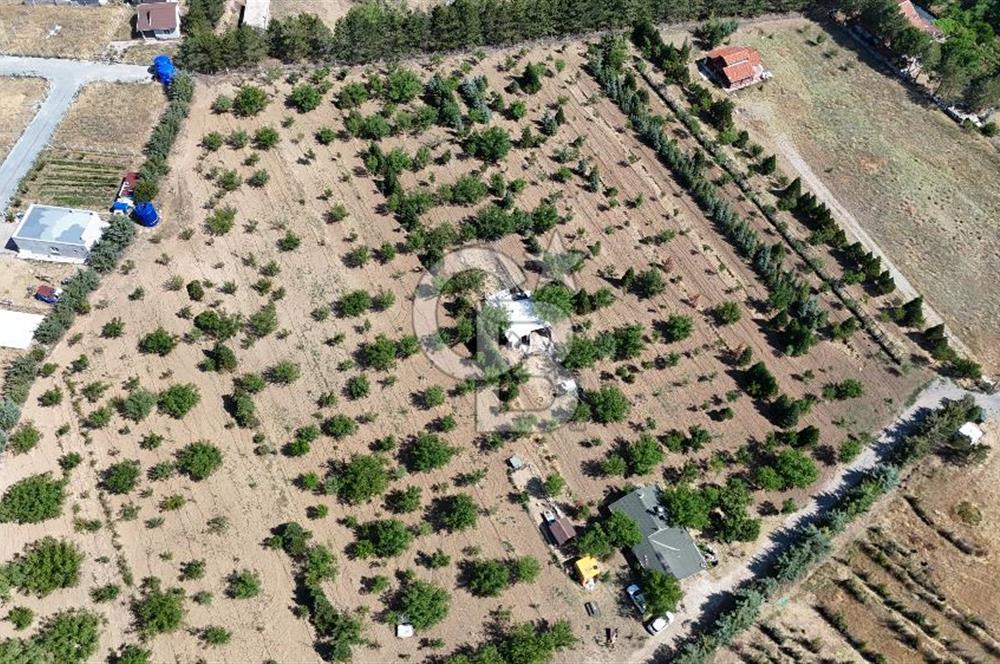 Pursaklar Yeşilyurt'ta 18.198 m2 Müstakil Tapulu Çiftlik
