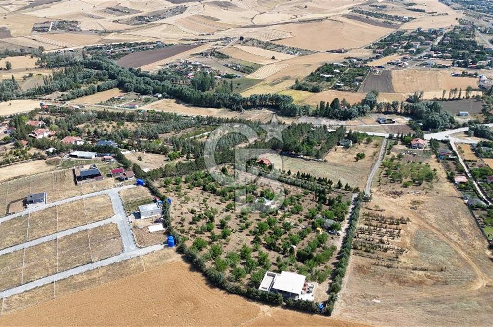 Pursaklar Yeşilyurt'ta 18.198 m2 Müstakil Tapulu Çiftlik