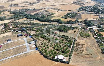 Pursaklar Yeşilyurt'ta 18.198 m2 Müstakil Tapulu Çiftlik