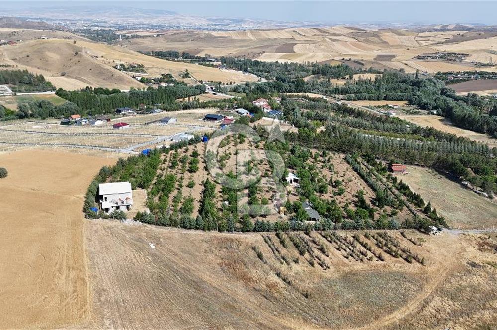 Pursaklar Yeşilyurt'ta 18.198 m2 Müstakil Tapulu Çiftlik