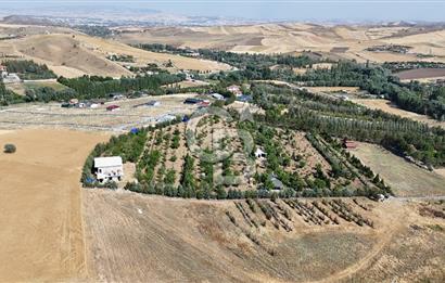 Pursaklar Yeşilyurt'ta 18.198 m2 Müstakil Tapulu Çiftlik