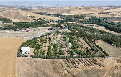 Pursaklar Yeşilyurt'ta 18.198 m2 Müstakil Tapulu Çiftlik