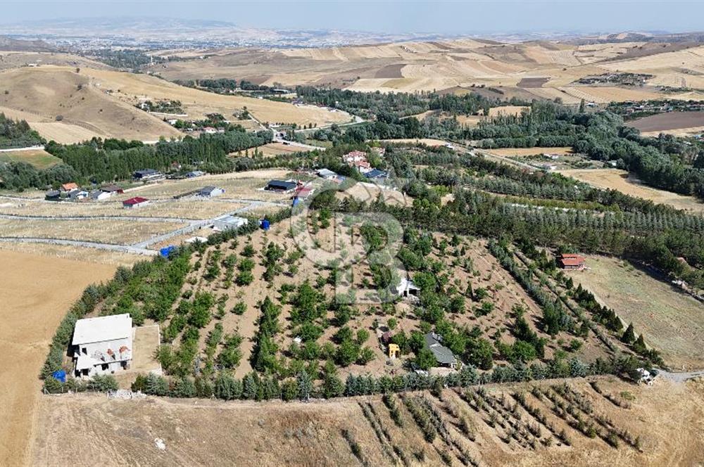 Pursaklar Yeşilyurt'ta 18.198 m2 Müstakil Tapulu Çiftlik