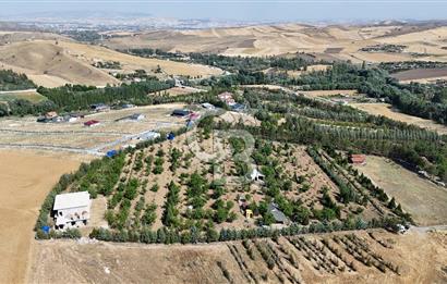 Pursaklar Yeşilyurt'ta 18.198 m2 Müstakil Tapulu Çiftlik