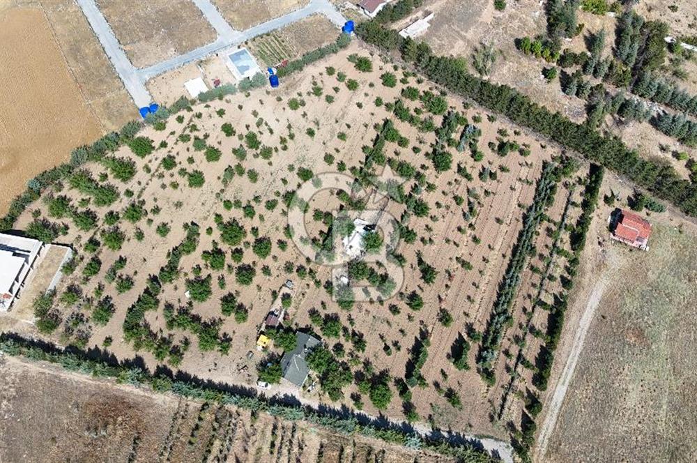 Pursaklar Yeşilyurt'ta 18.198 m2 Müstakil Tapulu Çiftlik