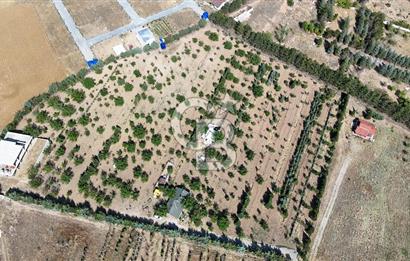 Pursaklar Yeşilyurt'ta 18.198 m2 Müstakil Tapulu Çiftlik