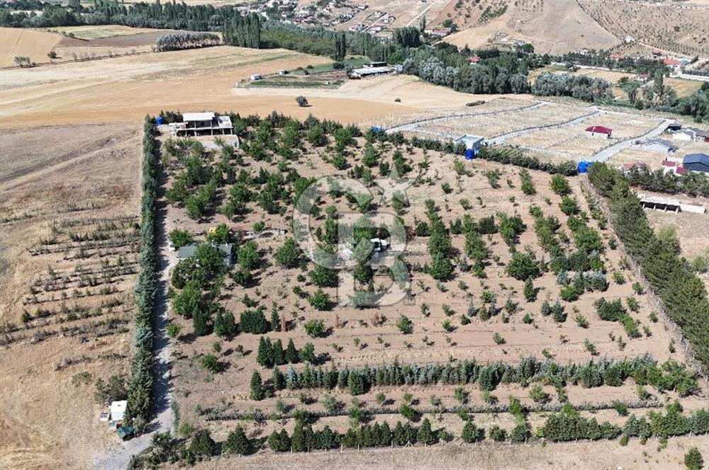 Pursaklar Yeşilyurt'ta 18.198 m2 Müstakil Tapulu Çiftlik
