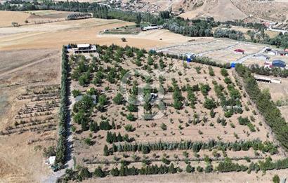 Pursaklar Yeşilyurt'ta 18.198 m2 Müstakil Tapulu Çiftlik