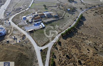 SEFERİHİSAR DÜZCE'DE SATILIK 6100 M2 KÖŞE PARSEL TARLA