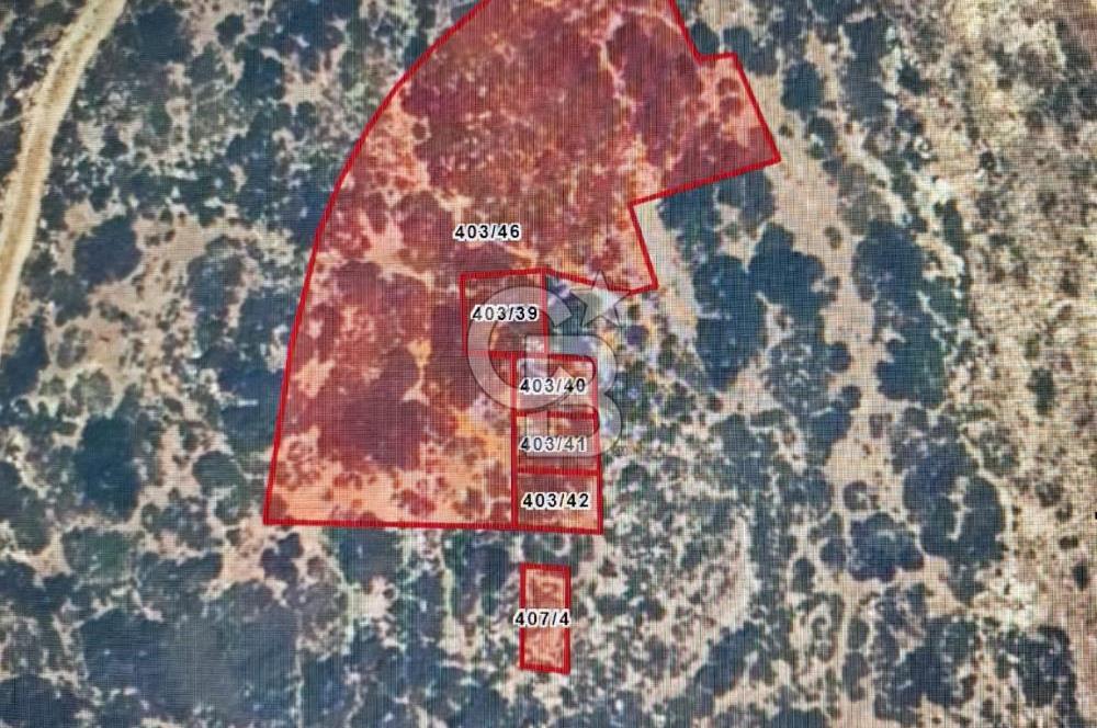 Villakent Göktürk'ün en güzel arsalarından 368 m2 hakim tepede..