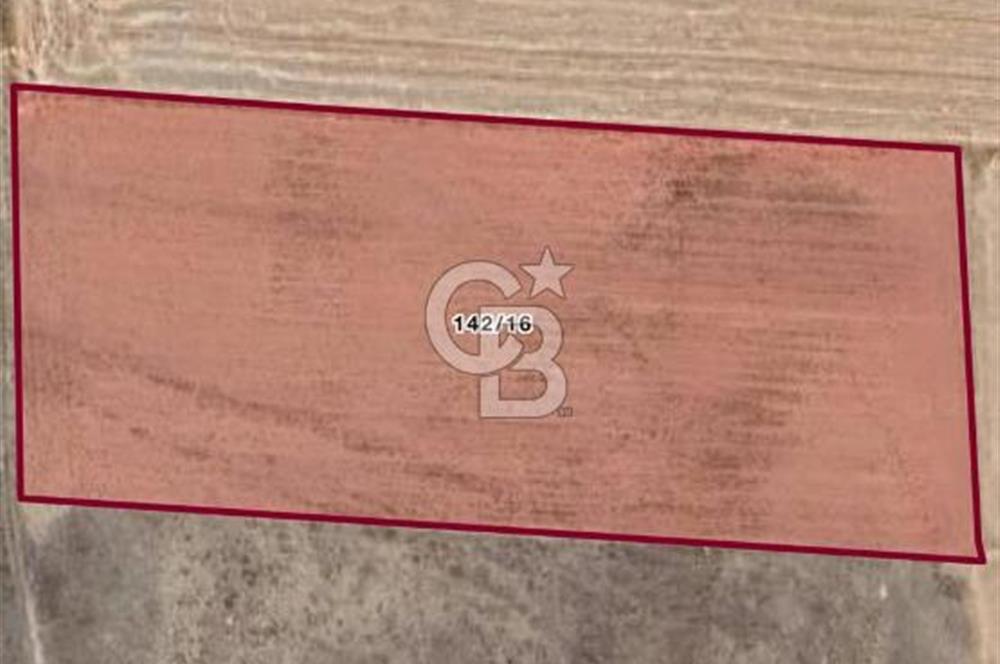 CB CITY' DEN ESKİŞEHİR ALPU AKTEPE SATILIK TARLA