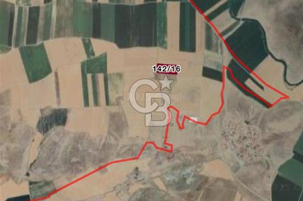 CB CITY' DEN ESKİŞEHİR ALPU AKTEPE SATILIK TARLA