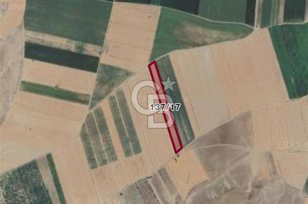 CB CITY'DEN ESKİŞEHİR ALPU AKTEPE YOLA ÇİFT CEPHE SATILIK TARLA