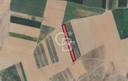 CB CITY'DEN ESKİŞEHİR ALPU AKTEPE YOLA ÇİFT CEPHE SATILIK TARLA