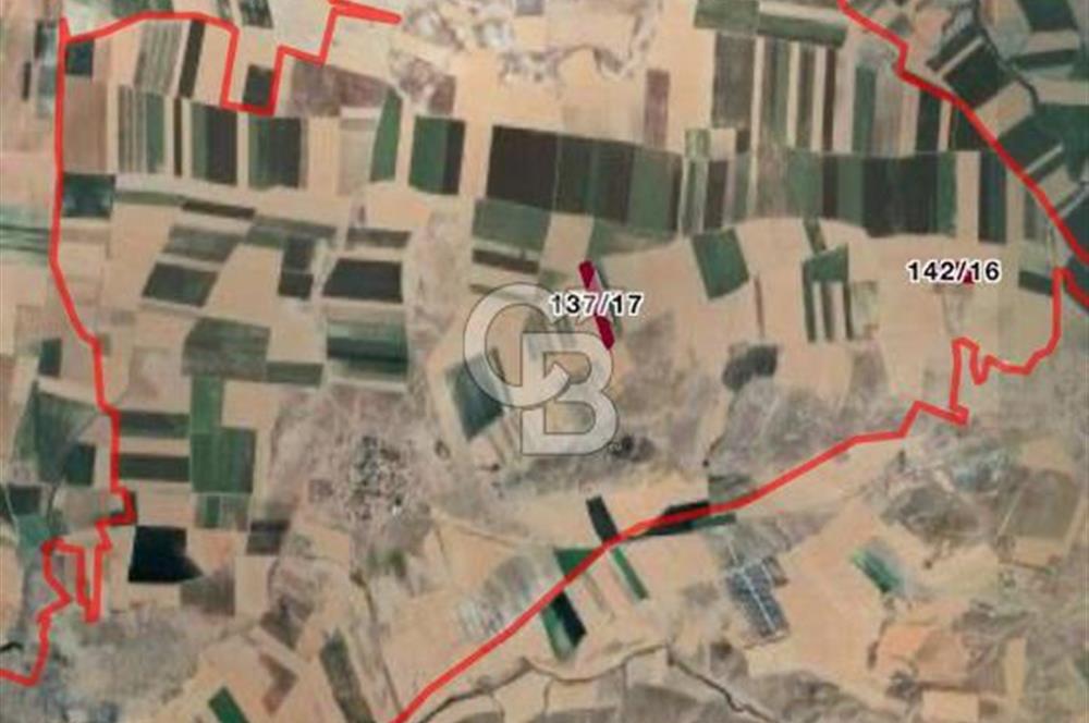 CB CITY'DEN ESKİŞEHİR ALPU AKTEPE YOLA ÇİFT CEPHE SATILIK TARLA