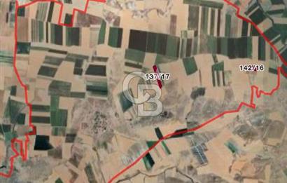 CB CITY'DEN ESKİŞEHİR ALPU AKTEPE YOLA ÇİFT CEPHE SATILIK TARLA