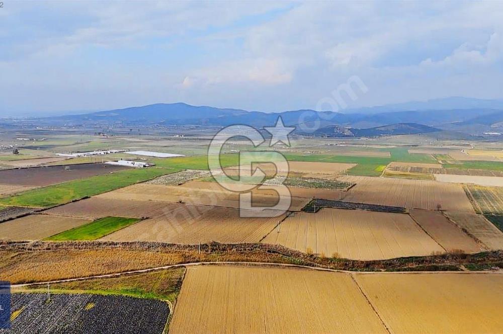 375 DÖNÜM DÜZ OVADA VERİMLİ ARAZİ