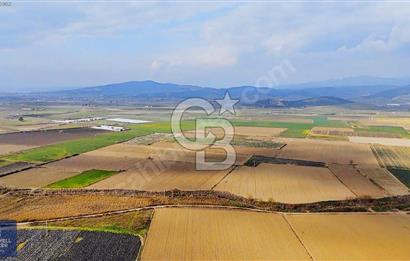 375 DÖNÜM DÜZ OVADA VERİMLİ ARAZİ
