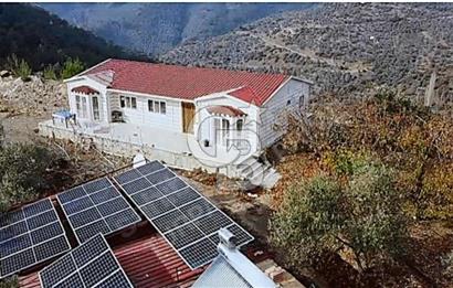 15 Dönüm Müştemilatlı Güneş Enerjili Artezyeni ile SIfır Çiftlik