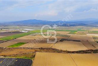 375 DÖNÜM DÜZ OVADA VERİMLİ ARAZİ