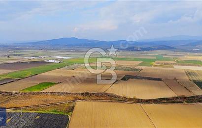 375 DÖNÜM DÜZ OVADA VERİMLİ ARAZİ