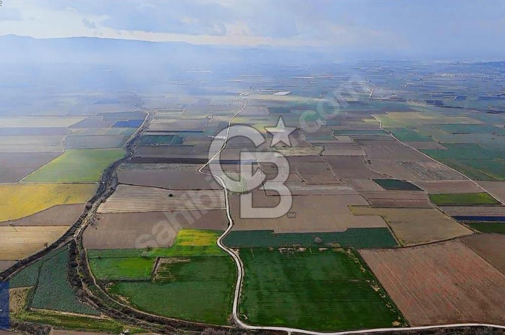 375 DÖNÜM DÜZ OVADA VERİMLİ ARAZİ