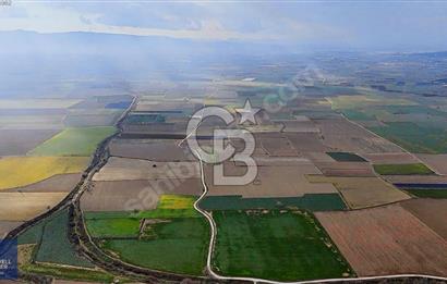 375 DÖNÜM DÜZ OVADA VERİMLİ ARAZİ