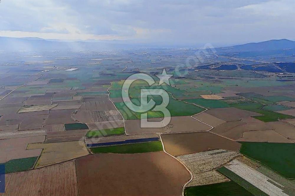375 DÖNÜM DÜZ OVADA VERİMLİ ARAZİ