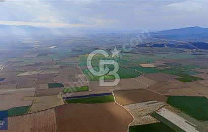 375 DÖNÜM DÜZ OVADA VERİMLİ ARAZİ