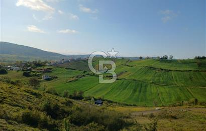CB TAN-KOCAELİ DERİNCE/KARAGÖLLÜ MANZARALI MÜSTAKİL EV & HOBİ BAHÇESİ 295M2 ARSA