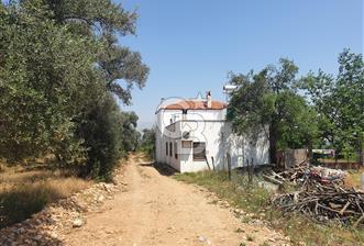 Muğla Yatağan Yeşilbağcılar'da Satılık İçerisinde 2 Ayrı Daire Bulunan 13.929 Metre Kare Tarla