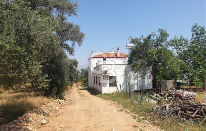 Muğla Yatağan Yeşilbağcılar'da Satılık İçerisinde 2 Ayrı Daire Bulunan 13.929 Metre Kare Tarla