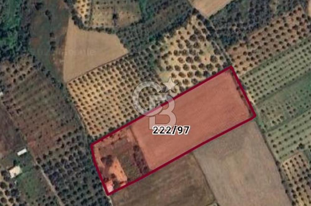 Muğla Yatağan Yeşilbağcılar'da Satılık İçerisinde 2 Ayrı Daire Bulunan 13.929 Metre Kare Tarla