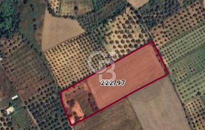 Muğla Yatağan Yeşilbağcılar'da Satılık İçerisinde 2 Ayrı Daire Bulunan 13.929 Metre Kare Tarla