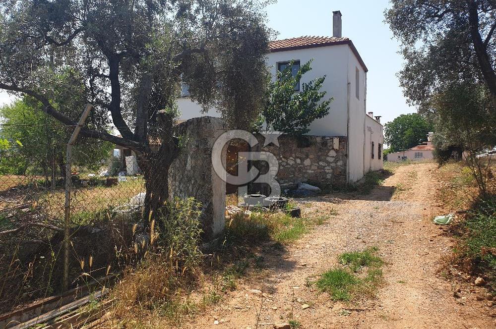 Muğla Yatağan Yeşilbağcılar'da Satılık İçerisinde 2 Ayrı Daire Bulunan 13.929 Metre Kare Tarla