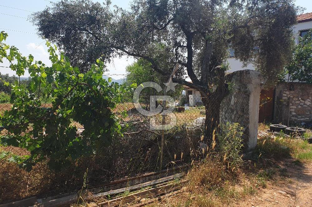 Muğla Yatağan Yeşilbağcılar'da Satılık İçerisinde 2 Ayrı Daire Bulunan 13.929 Metre Kare Tarla
