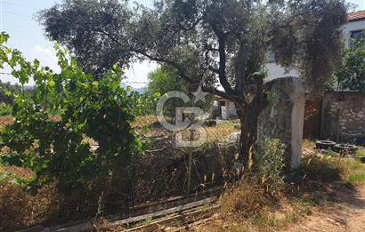 Muğla Yatağan Yeşilbağcılar'da Satılık İçerisinde 2 Ayrı Daire Bulunan 13.929 Metre Kare Tarla