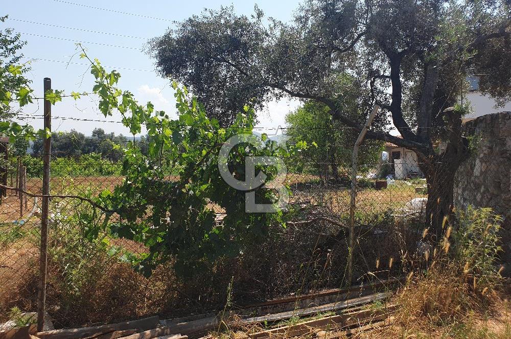 Muğla Yatağan Yeşilbağcılar'da Satılık İçerisinde 2 Ayrı Daire Bulunan 13.929 Metre Kare Tarla