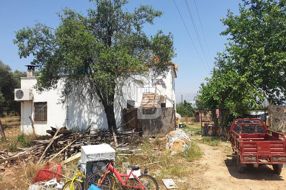 Muğla Yatağan Yeşilbağcılar'da Satılık İçerisinde 2 Ayrı Daire Bulunan 13.929 Metre Kare Tarla