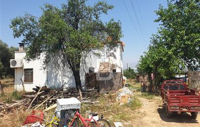 Muğla Yatağan Yeşilbağcılar'da Satılık İçerisinde 2 Ayrı Daire Bulunan 13.929 Metre Kare Tarla