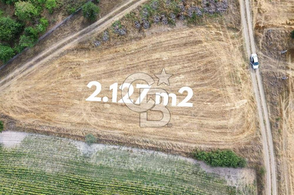 İSTANBUL SİLİVRİ’DE 2.127 m2 SANAYİ İMARLI ARSA