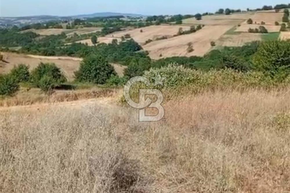 İZMİT AMBARCI DA MERKEZE ÇOK YAKIN 849,50M2 ACİL SATILIK ARSA
