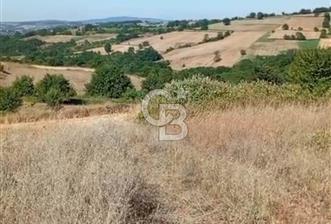 İZMİT AMBARCI DA MERKEZE ÇOK YAKIN 849,50M2 ACİL SATILIK ARSA