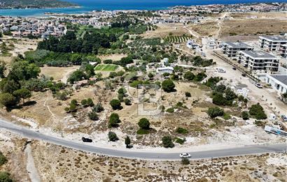 ÇEŞME ŞİFNE ATATÜRK ANADOLU LİSESİ YANI SATILIK 4760m2 TARLA