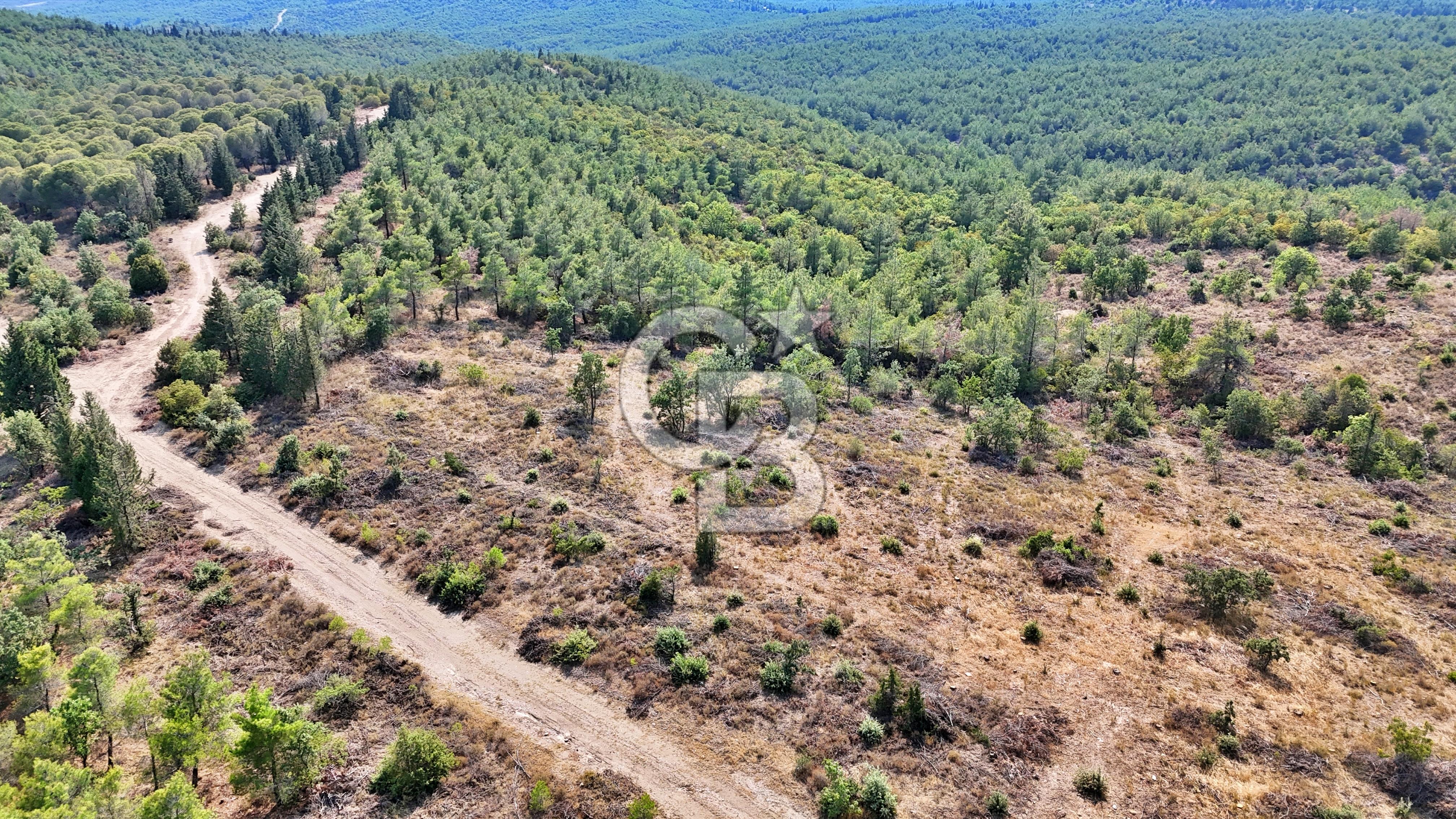 EZİNE ÇAMLICA DA MÜKEMMEL FIRSAT ARAZİ