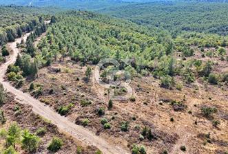 EZİNE ÇAMLICA DA MÜKEMMEL FIRSAT ARAZİ